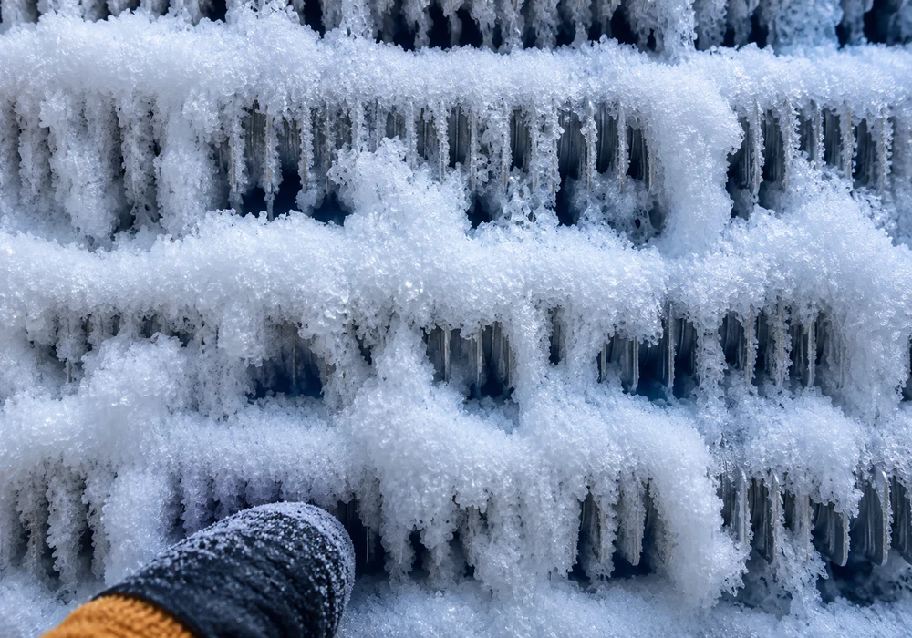 Frost build-up on a refrigerator evaporator coil behind the rear freezer panel